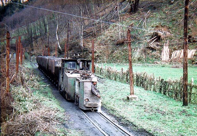 Cerezal.jpg (139.46 KiB) Visto 14241 veces Cerezal.jpg